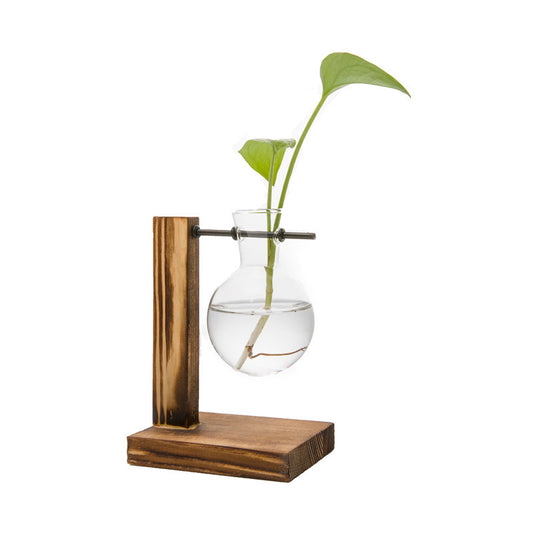 Terrarium hydroponics glass vase